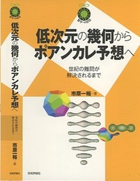 低次元の幾何からポアンカレ予想へ 世紀の難問が解決されるまで 