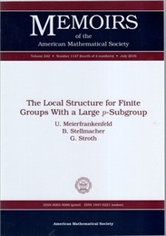 The Local Structure for Finite Groups With a Large p-Subgroup  