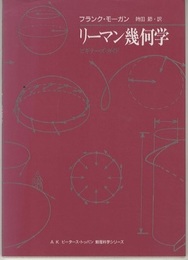 リーマン幾何学　ビギナーズ・ガイド  