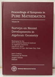 Surveys on Recent Developments in Algebraic Geometry  