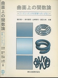曲面上の関数論 リーマン‐ロッホの定理へのいざない 