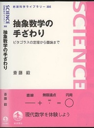 抽象数学の手ざわり ピタゴラスの定理から圏論まで 