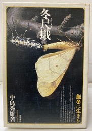 冬尺蛾 （フユシャクガ） 厳冬に生きる 