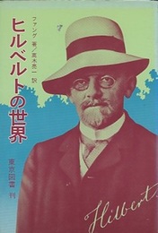 ヒルベルトの世界  