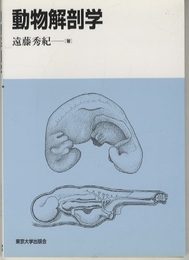 動物解剖学  
