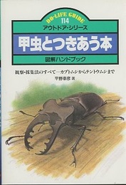 甲虫とつきあう本　図解ハンドブック 観察・採集法のすべて―カブトムシからテントウムシまで 