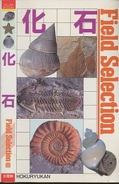 化石  