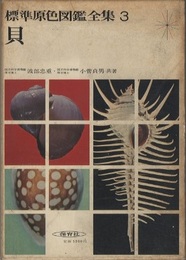 貝  