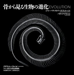 骨から見る生物の進化  