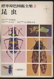 昆虫  