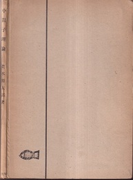 中間子理論  