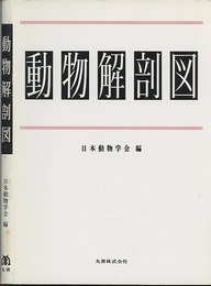 動物解剖図  