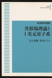 共形場理論と1次元量子系（オンデマンド版）  