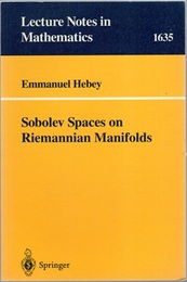 Sobolev Spaces on Riemannian Manifolds  