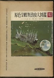 原色日本蝶類幼虫大図鑑（1・2）2冊セット  