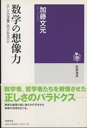 数学の想像力 正しさの深層に何があるのか 