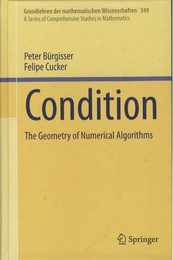 Condition : The Geometry of Numerical Algorithms (Hard)  