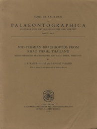 Mid-Permian Brachiopods from Khao Phrik、 Thailand  