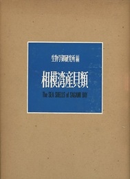 相模湾産貝類  
