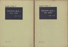 有限世界の数学　上・下 (上)算術・代数篇 (下)解析・幾何篇 