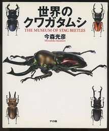世界のクワガタムシ  