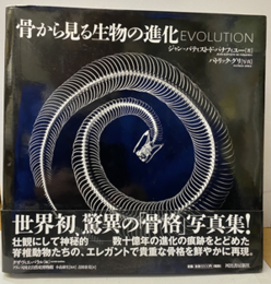 骨から見る生物の進化  