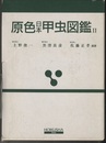 原色日本甲虫図鑑　Ⅱ  