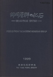 師崎層群の化石 愛知県の化石（第2集） 