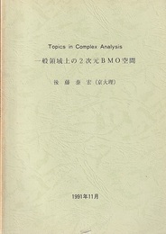 Topics in  Complex Analysis：一般領域上の2次元BMO空間  