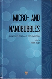 Micro- and Nanobubbles Fundamentals and Applications 