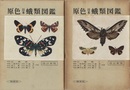 原色日本蛾類図鑑　上・下　(改訂新版)  