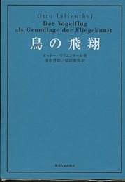 鳥の飛翔  