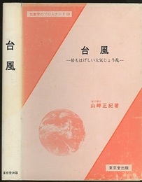 台風 最もはげしい大気じょう乱 