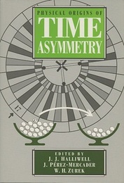 Physical Origins of Time Asymmetry  