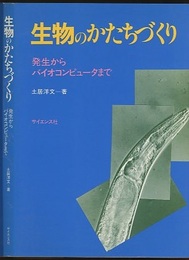 生物のかたちづくり 発生からバイオコンピュータまで 
