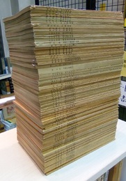 岩波講座数学　1-30（90分冊）  