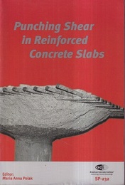 Punching Shear in Reinforced Concrete Slabs  