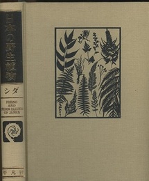 日本の野生植物　シダ  