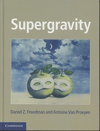 Supergravity  