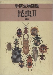 昆虫 （2） 甲虫 （旧版）  