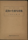 昆虫の生態写真集 飼育と観察の記録 