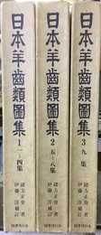 日本羊歯類図集　全3巻揃　復刻  