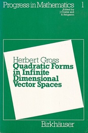 Quadratic Forms in Infinite Dimensional Vector Spaces  