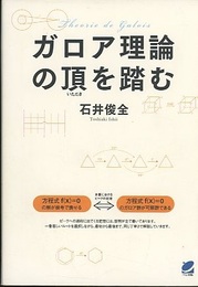 ガロア理論の頂を踏む  