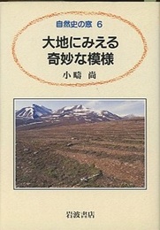大地にみえる奇妙な模様  