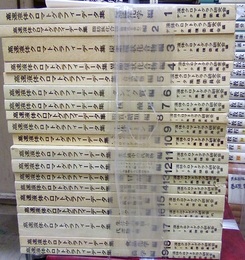 高速液体クロマトグラフィーデータ集　1-19  