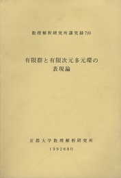 有限群と有限次元多元環の表現論  