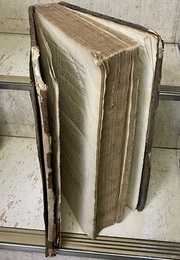 La Sainte Bible Contenant l'Ancien et le Nouveau Testament Traduite en Francois sur la Vulgate (仏) サシ訳聖書