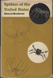 Spiders of the United States  