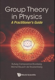 Group Theory In Physics A Practitioner'S Guide 
